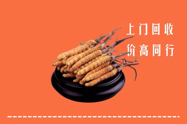 高价求购：扶绥县回收散虫草