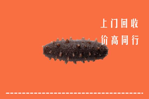 高价求购：扶绥县回收海参